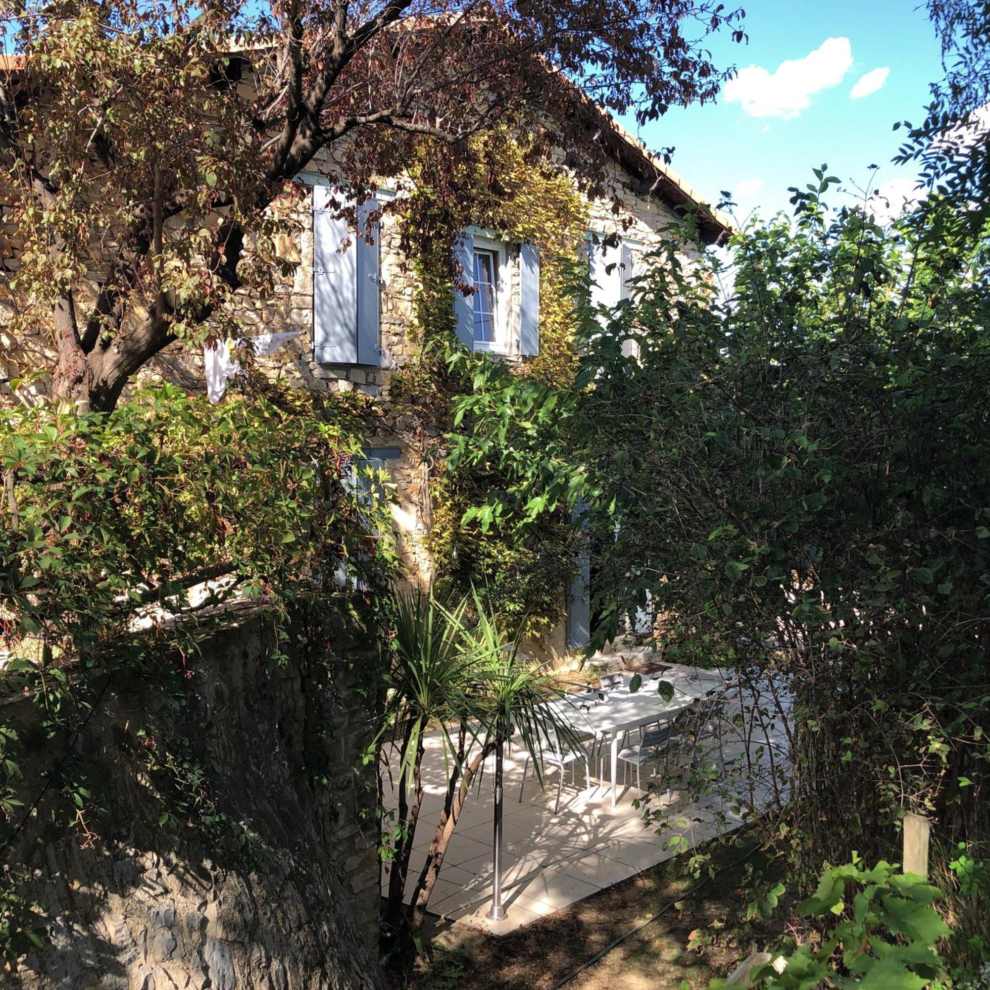 Mazet Pierre De Vers - Des Olivers * Nîmes